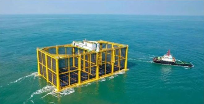 國內首座近海海水三文魚養殖網箱交付使用 海洋養殖技術的新突破